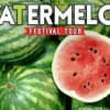 Watermelon Festival Tour Wada Itinerary Day 1