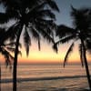 Varkala Tour Package From Mumbai By Train (6D/5N) Itinerary Day 2