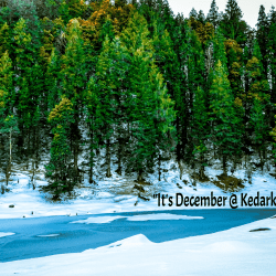 Kedarkantha Trek in December: Why trekking in this Month?