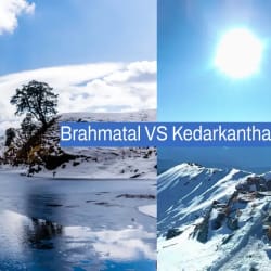 Brahmatal trek vs kedarkantha trek: Which one to Pick?