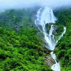 How to Reach Dudhsagar Trek