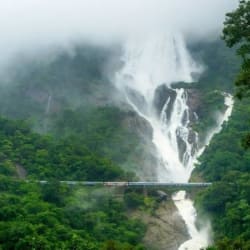 Best Time for Dudhsagar Trek