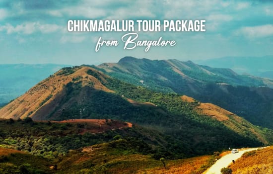 Chikmagalur Tour Package from Bangalore