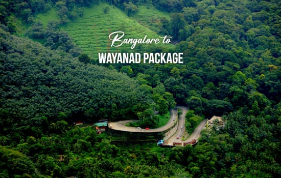 Bangalore to Wayanad Package