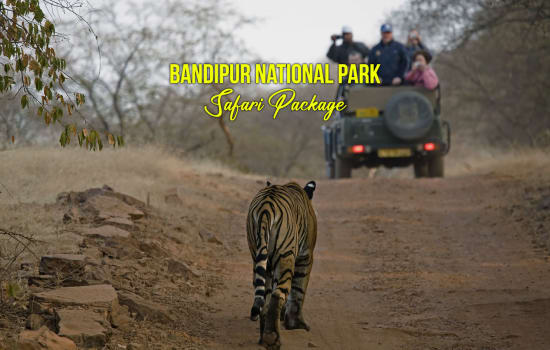 Bandipur National Park Safari Package