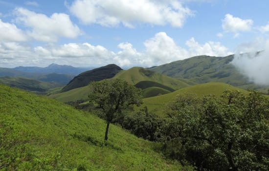 Kodachadri Trek