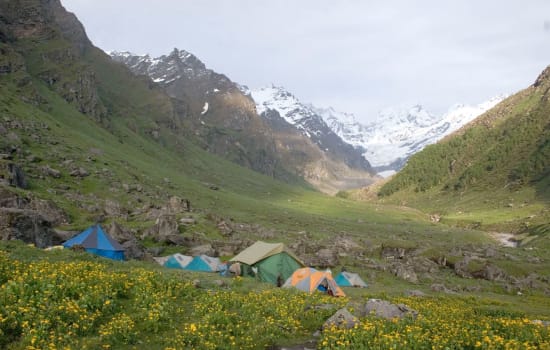 Deo Tibba Base Trek