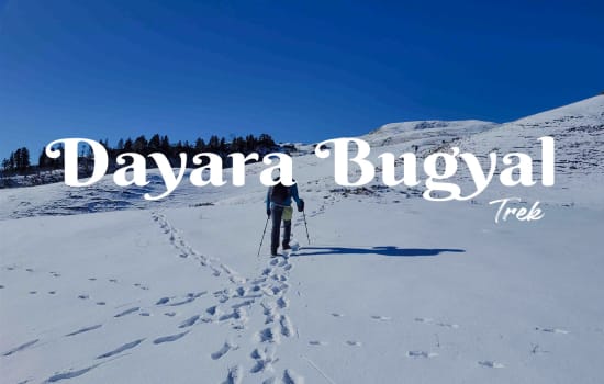 Dayara Bugyal Trek