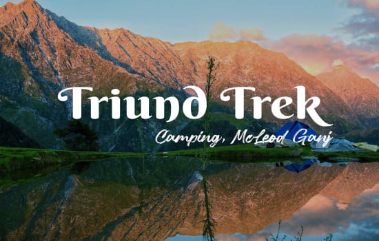 Triund Trek & Camping, McLeod Gan
