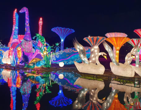 Dubai Garden Glow Tickets