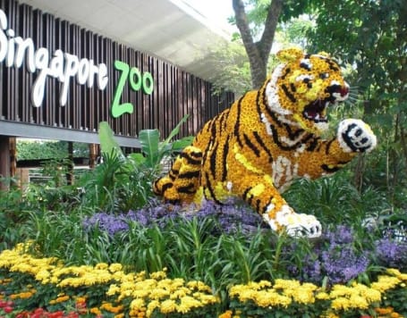 Singapore Zoo Tickets