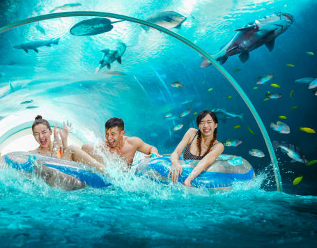 Adventure Cove Waterpark Tickets