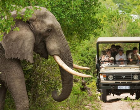 Nagarhole National Park