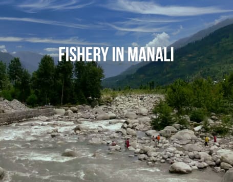 Manali Fishing