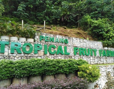 Penang Tropical Fruit Farm