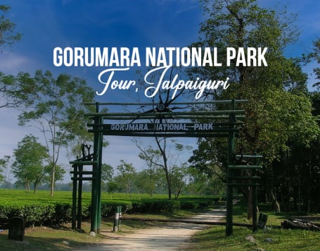 Book Gorumara National Park Safari with Jeep