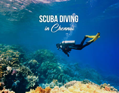 Scuba Diving in Chennai