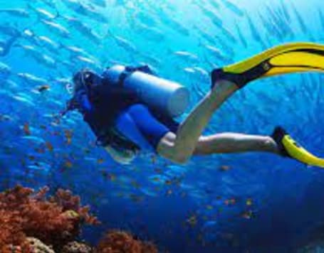 Scuba Diving in Pondicherry