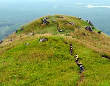 Broga