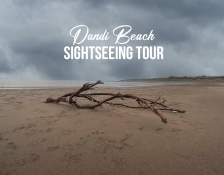 Dandi Beach Sightseeing Tour From Surat