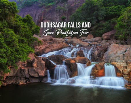 Dudhsagar Falls and Spice Plantation Tour