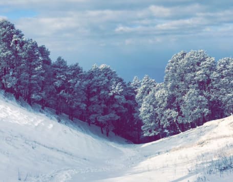 Nag Tibba Snow Trek