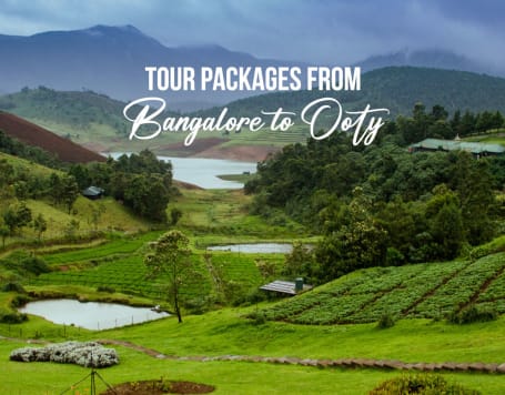 Tour Packages from Bangalore to Ooty
