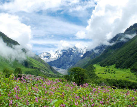 Valley of Flowers Trek from Dehradun