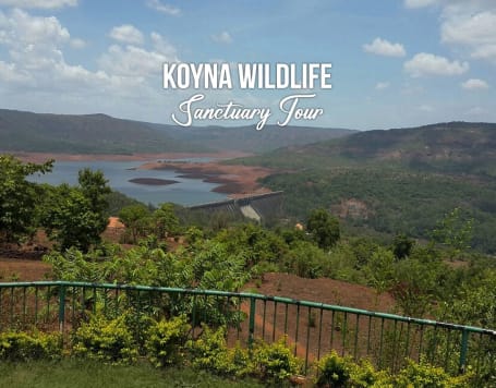 Koyna Wildlife Sanctuary Tour