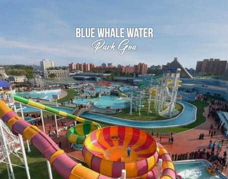 Blue Whale Water Park Goa