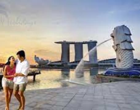 Honeymoon Special - Singapore Delight