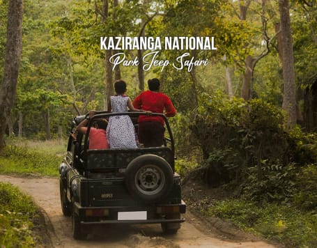 Kaziranga National Park Jeep Safari