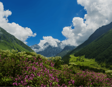 Valley of Flowers Trek from Delhi