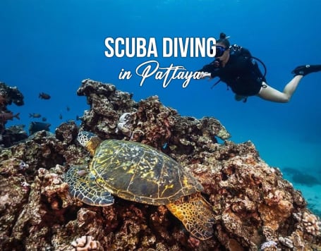 Scuba Diving in Pattaya