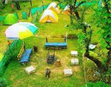 Dharamshala Jungle Camping