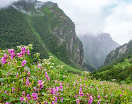 Valley of Flowers National Park Trek