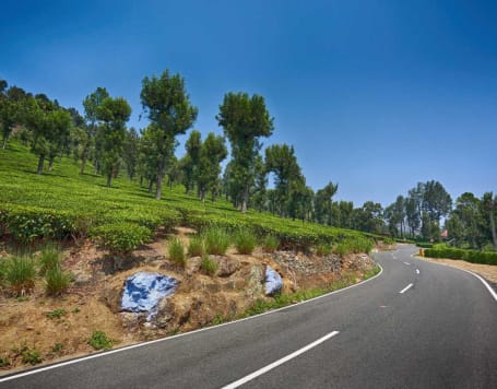 Bangalore to Coorg Package By Car