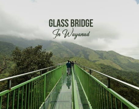 Glass Bridge In Wayanad