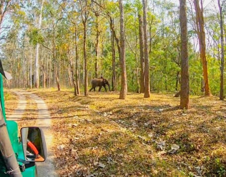 Muthanga Wildlife Safari, Wayanad