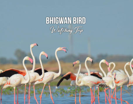 Bhigwan Bird Watching Trip with Camping