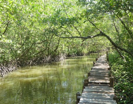 Koh Thmei Beach, Ream National Park