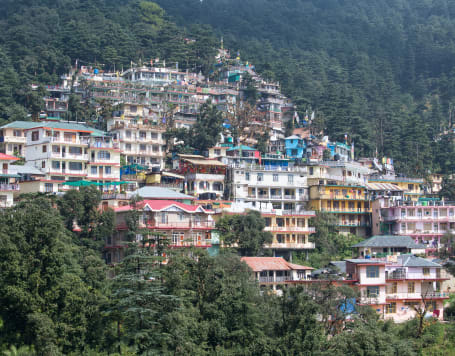 Full day sightseeing Dharamshala tour