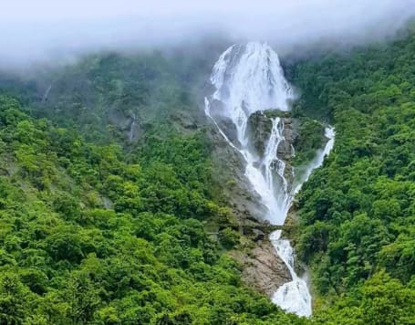 Trek to Dudhsagar Falls from Goa