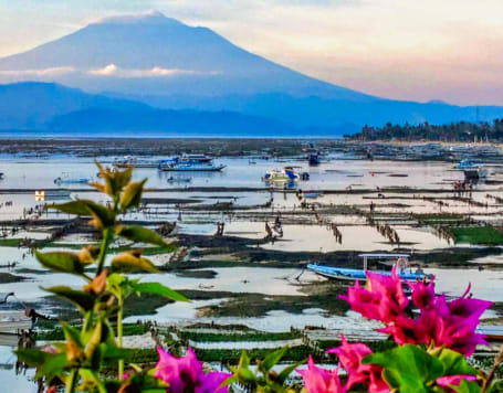 Lembongan Island Seaweed Farm