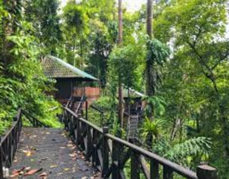 Tabin Wildlife Reserve