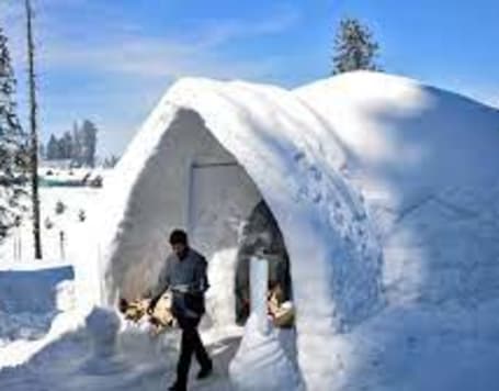 Igloo Cafe