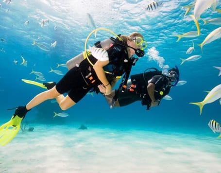 Tarkarli Scuba Diving