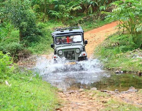 Thekkady Jungle Jeep Safari Kerala