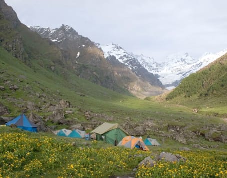 Deo Tibba Base Trek