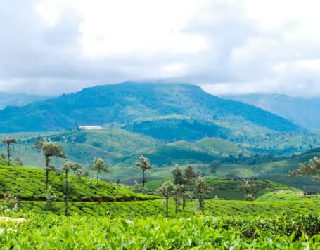 Valparai Tour Package From Bangalore